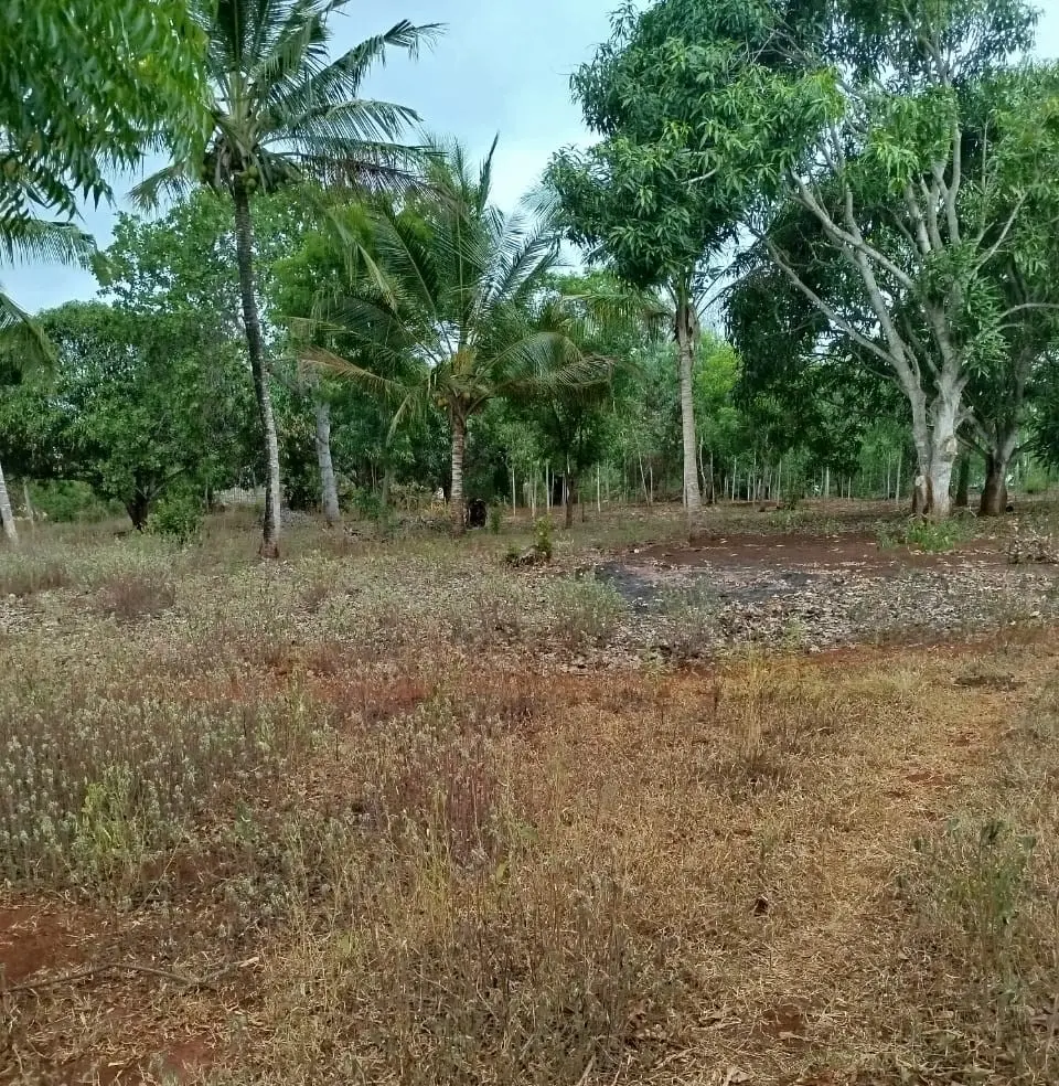 Land in Kilifi - Sokoke